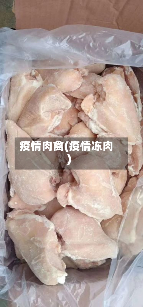 疫情肉禽(疫情冻肉)
