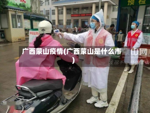 广西蒙山疫情(广西蒙山是什么市)