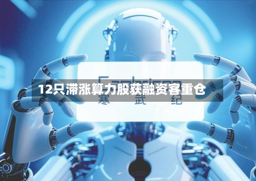 12只滞涨算力股获融资客重仓