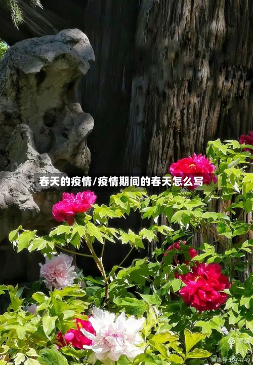 春天的疫情/疫情期间的春天怎么写