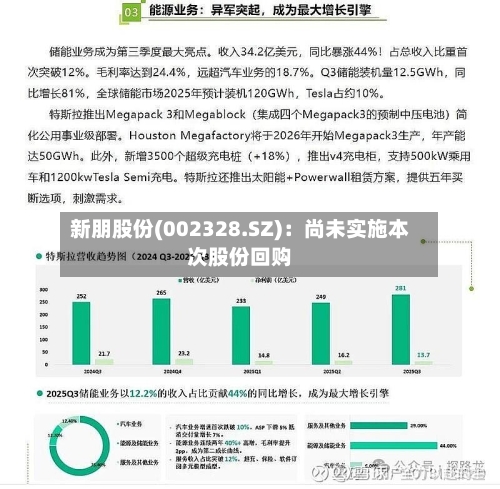 新朋股份(002328.SZ)：尚未实施本次股份回购