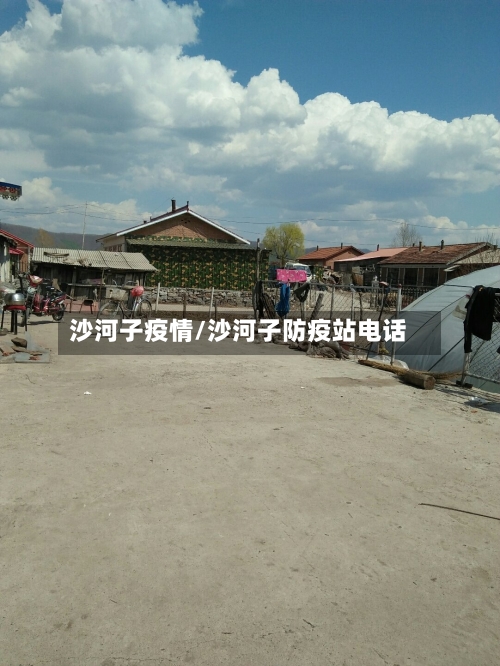 沙河子疫情/沙河子防疫站电话