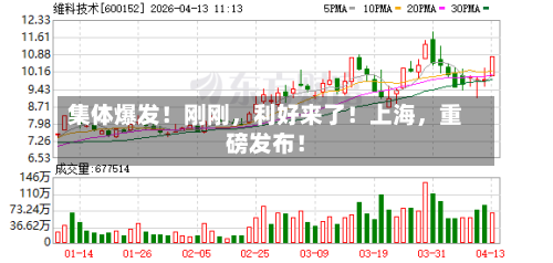 集体爆发！刚刚，利好来了！上海，重磅发布！