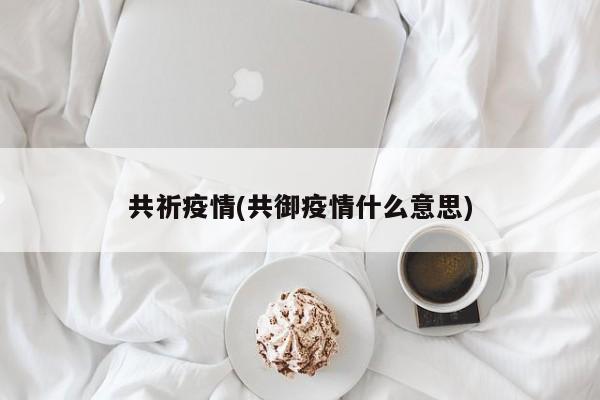 共祈疫情(共御疫情什么意思)